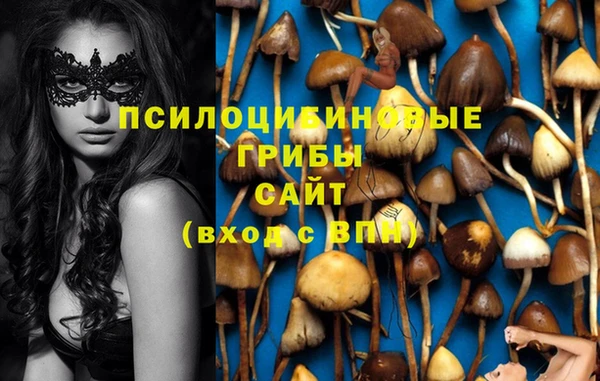 прущие грибы Алзамай