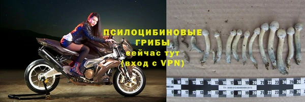 бошки Алексеевка