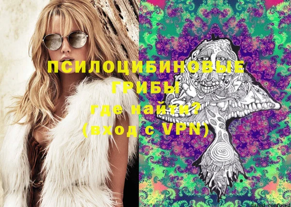 прущие грибы Алзамай