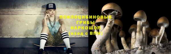 бошки Алексеевка