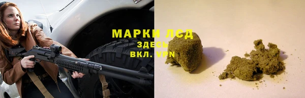 прущие грибы Алзамай