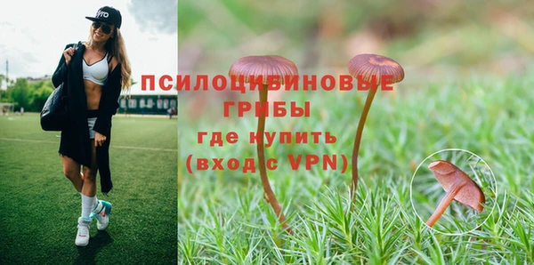 метамфетамин Няндома